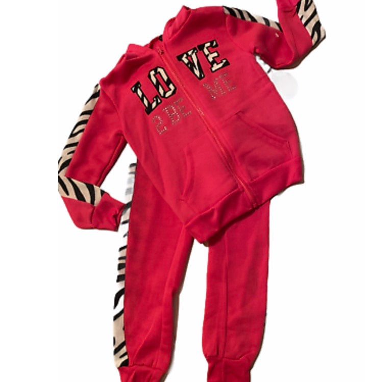 Girl's 2pc Pink Zebra Pants Set - Stylz Select